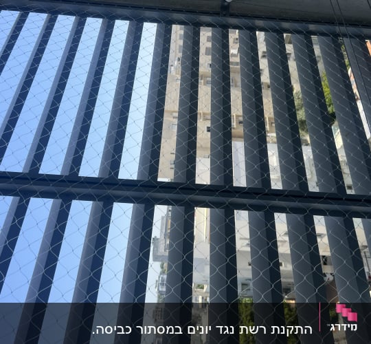 רשת מתכת על חלון למניעת כניסת יונים